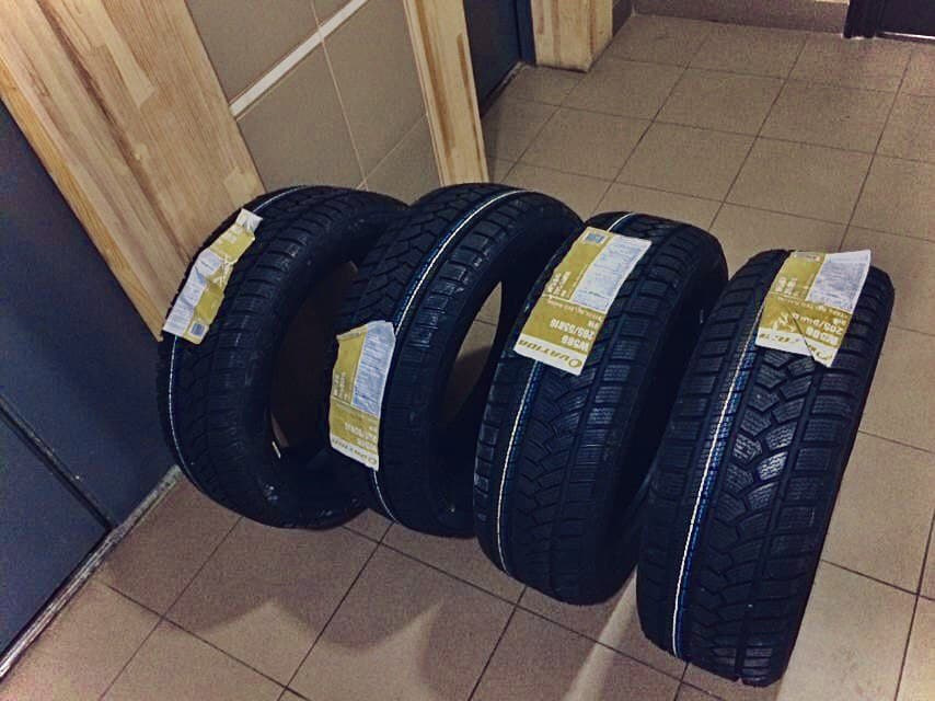 Дарованому коневі в зуби не дивляться 3