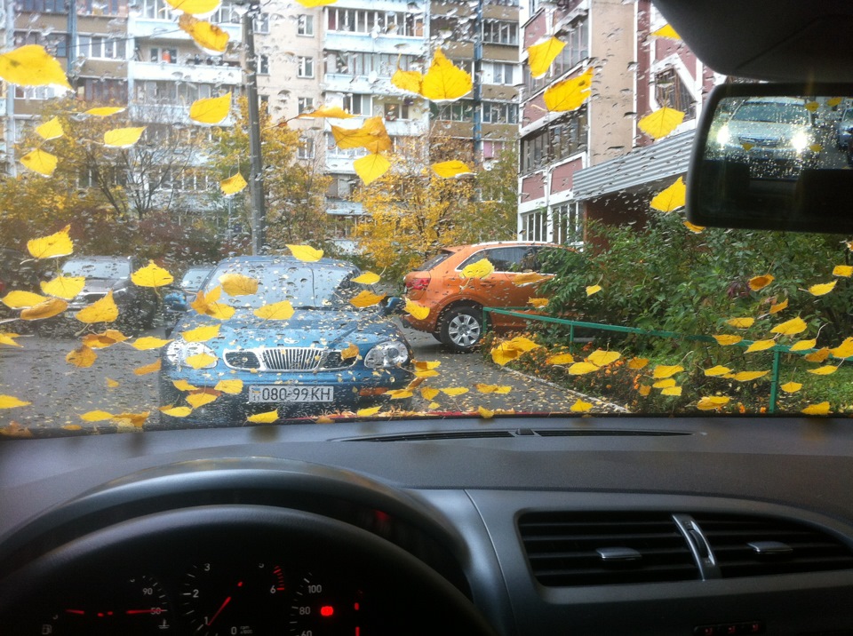 Autumn 1