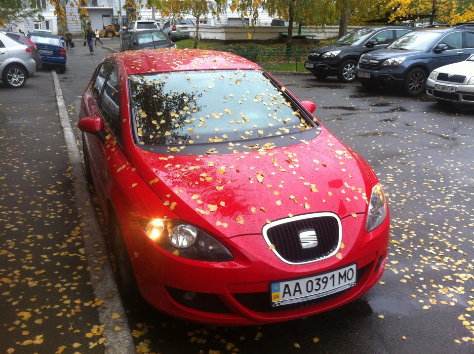 Autumn 2