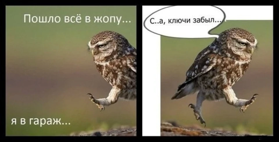 Так і живемо :)