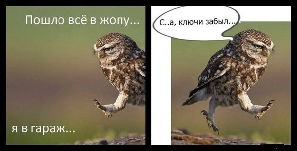 Так і живемо :) 1