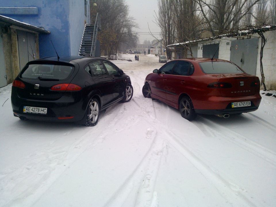 Мої красуні 4