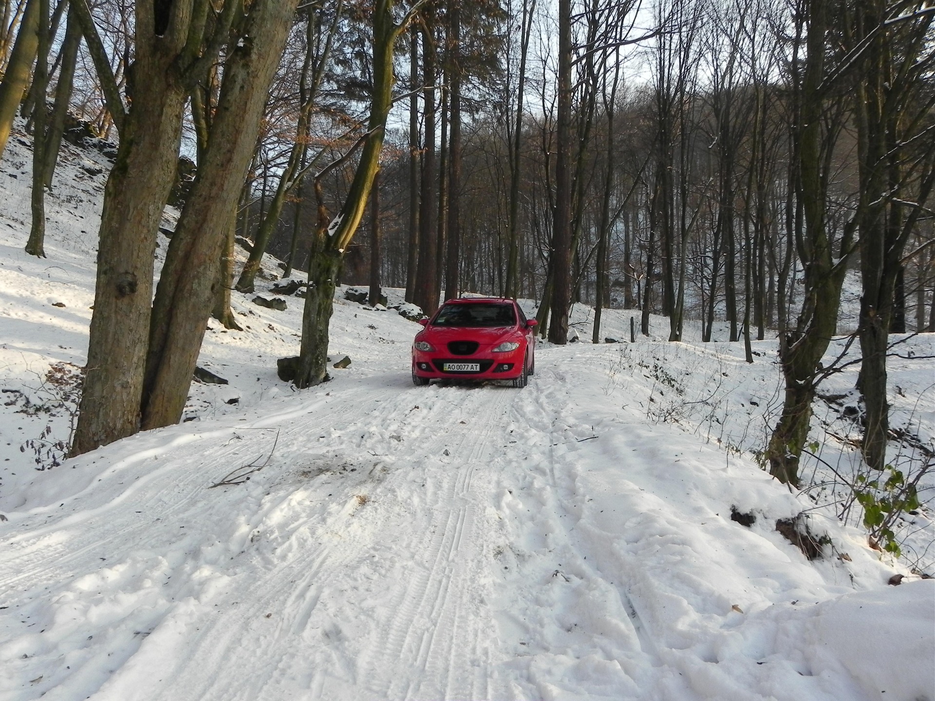Давно не бачилися (Фото Зима 2011) 5