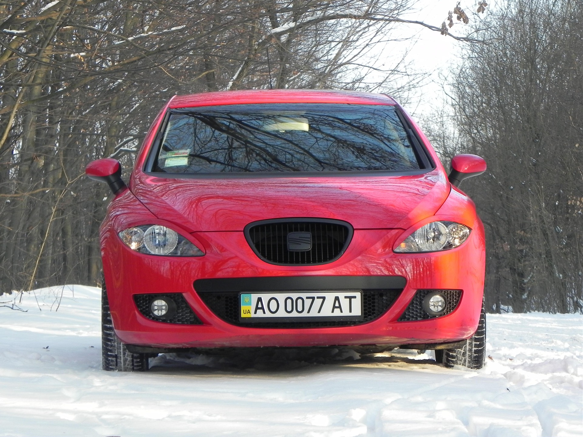 Давно не бачилися (Фото Зима 2011) 3