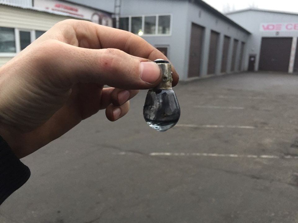 Кунсткамера з роботи 1