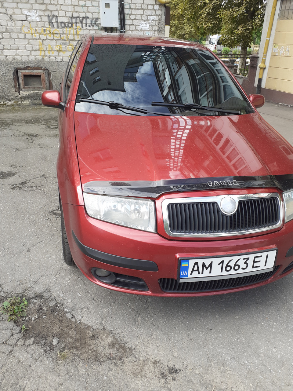 Тонування 5