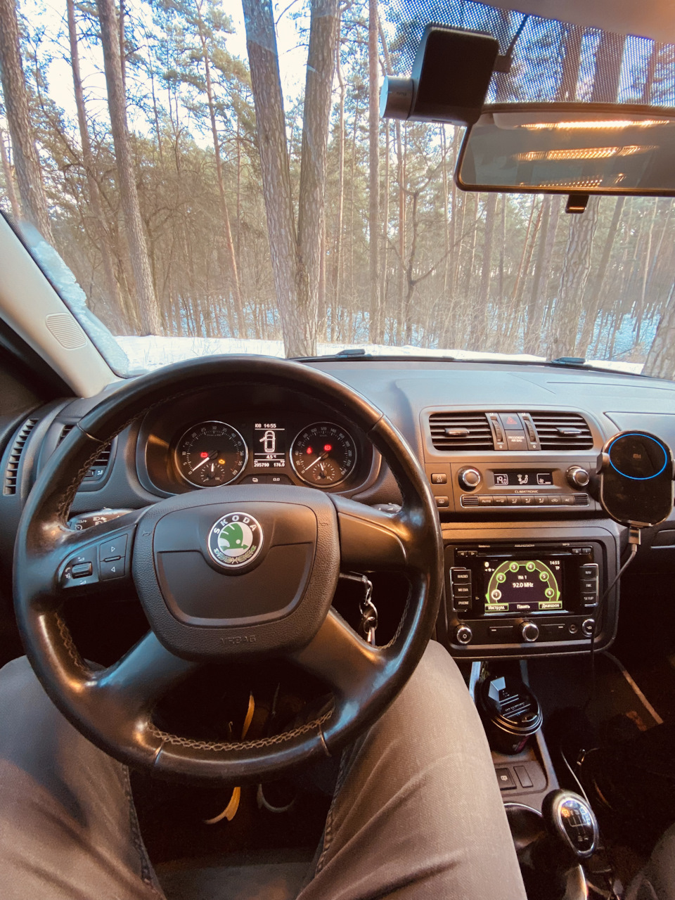 Fabia FL що це таке? 1