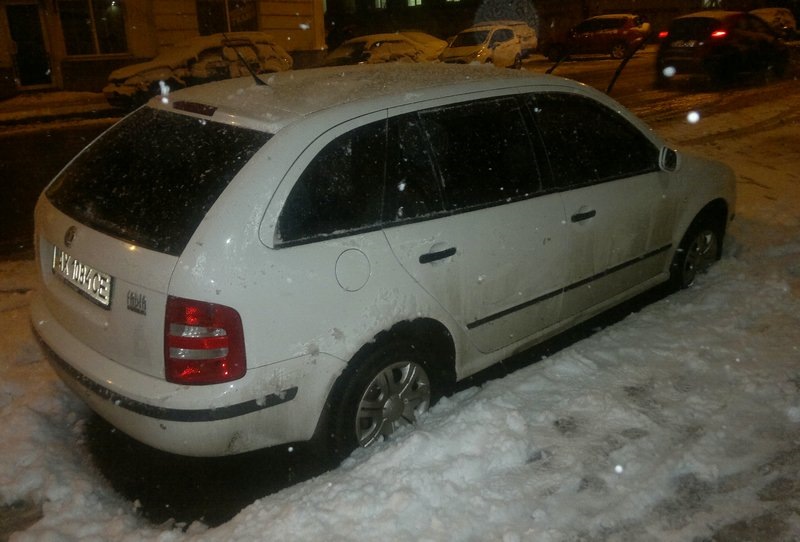 Зима знову до нас заглянула (05-02-2015) 3