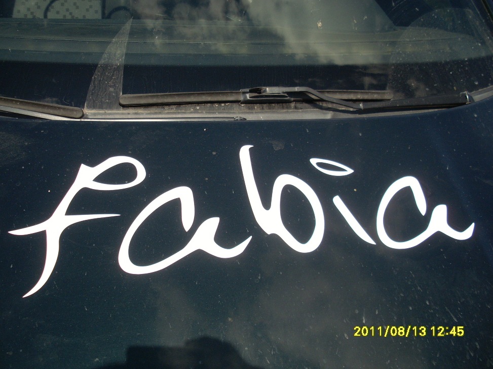 Запис, 14 серпня 2011 5