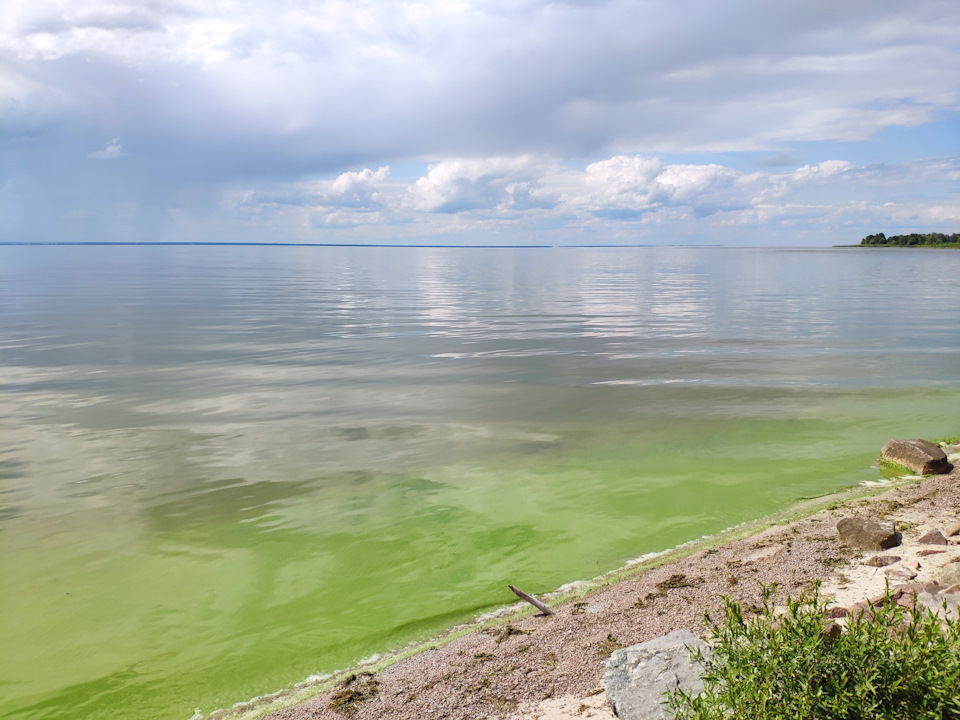 Поїздка на Київське море 5