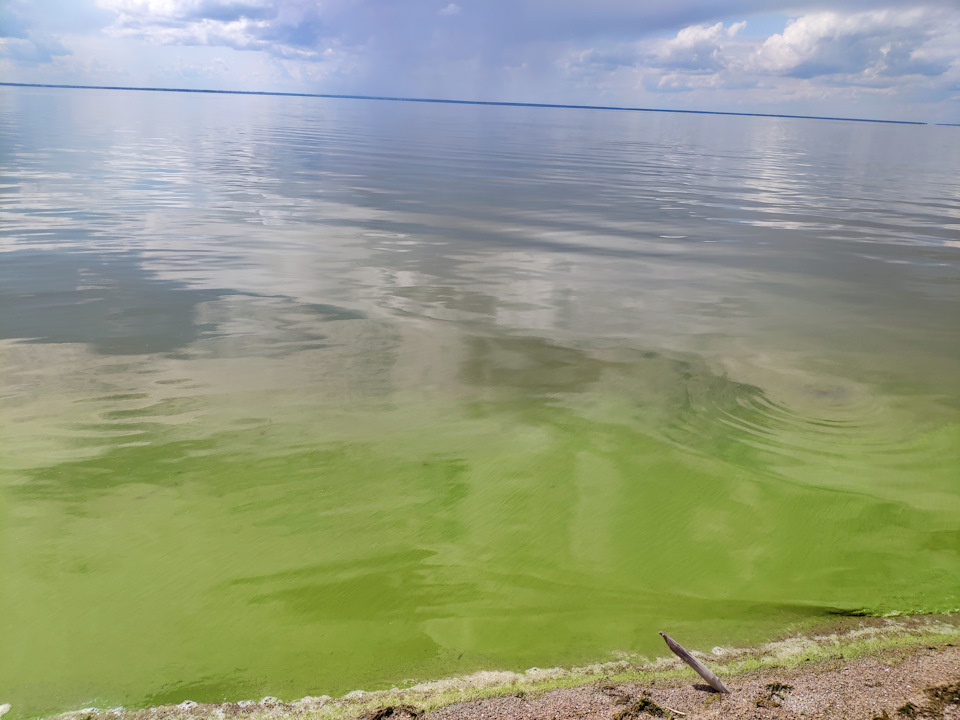 Поїздка на Київське море 3