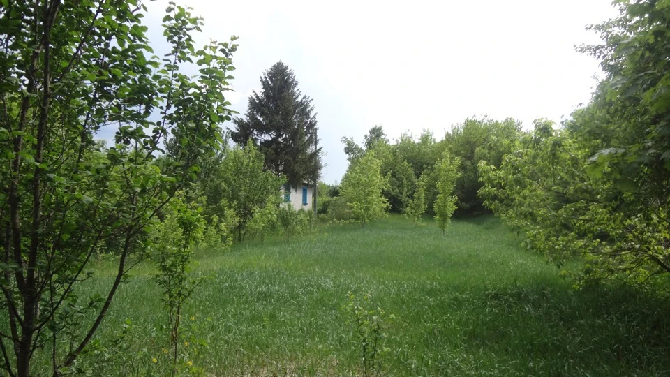 Поїзди на гропи в село в чорнобильському районі :)