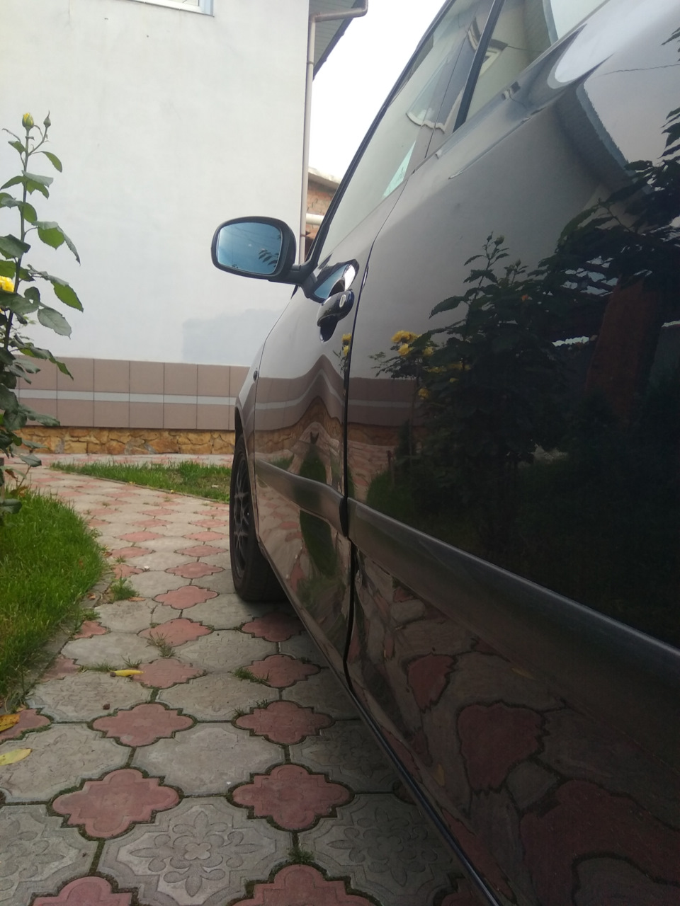 Поцілунки під'їхали 2