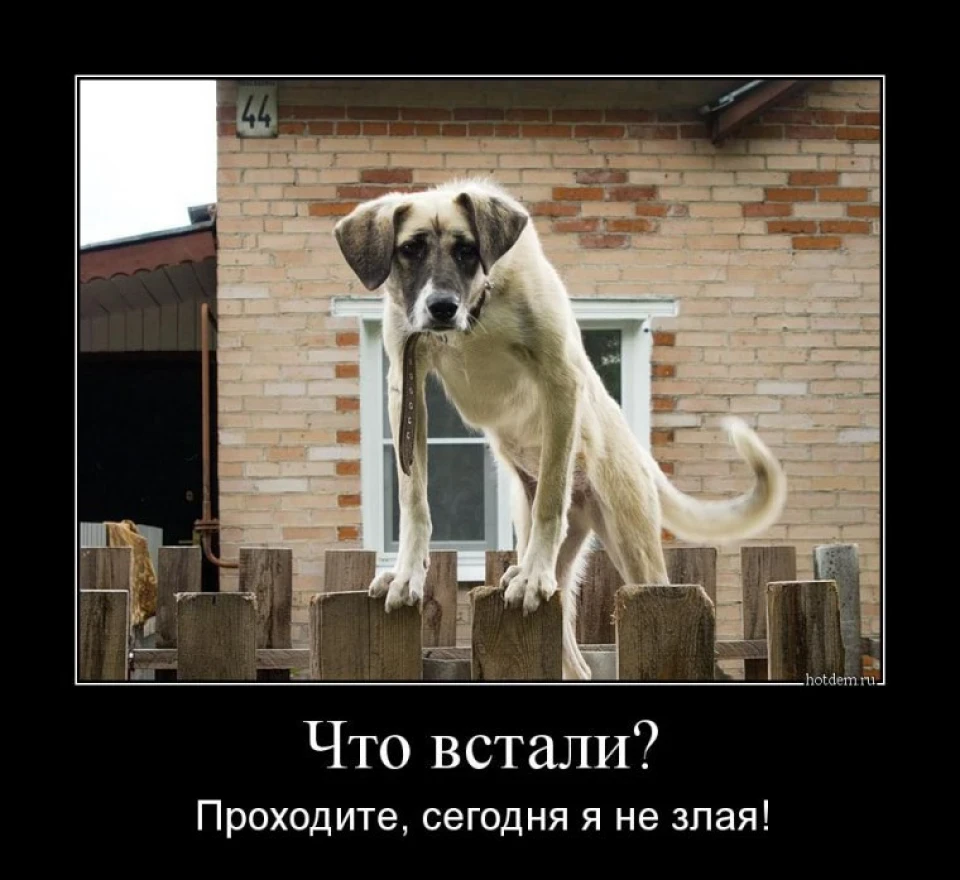 Задні дискові гальма ЗДТ