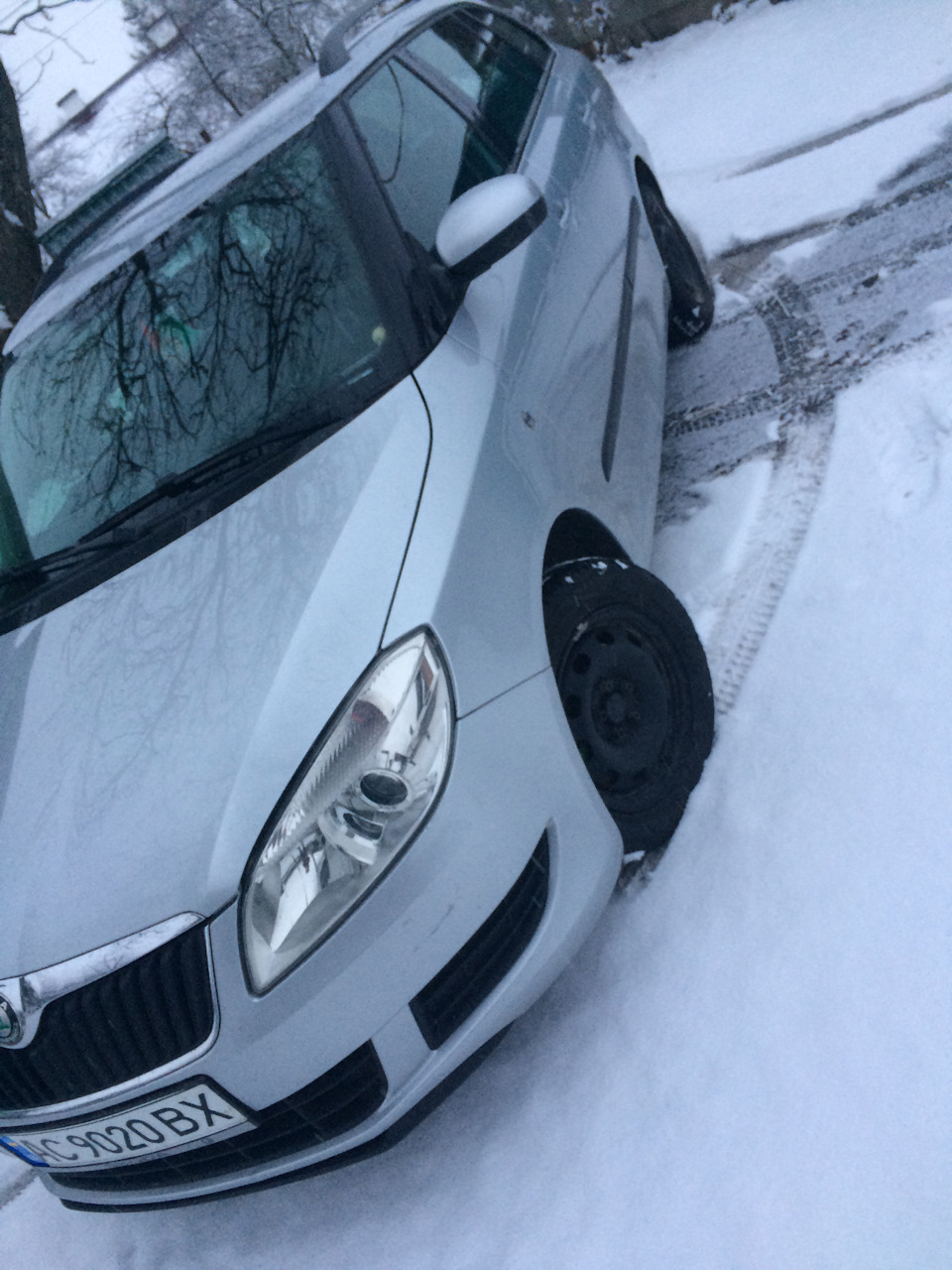 Зима почалася❄️☃️ 2