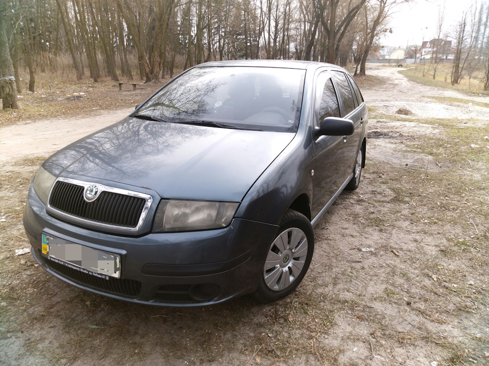 Фото на природі 1