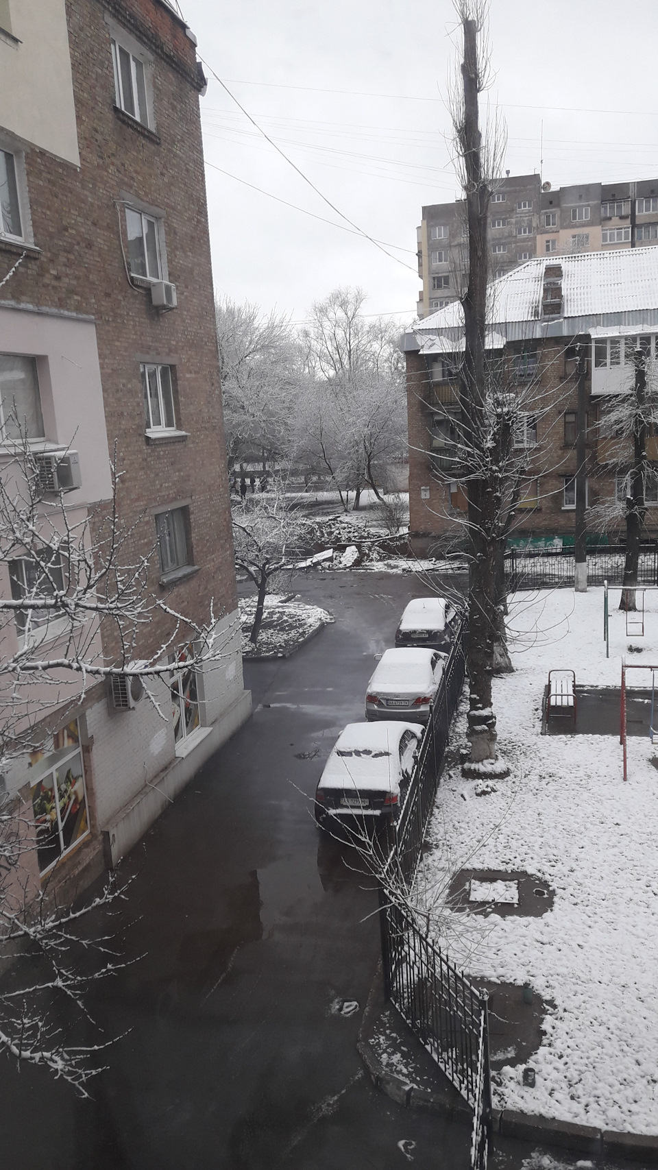 27.03.2019 до Києва прийшла справжня Весна))) 1