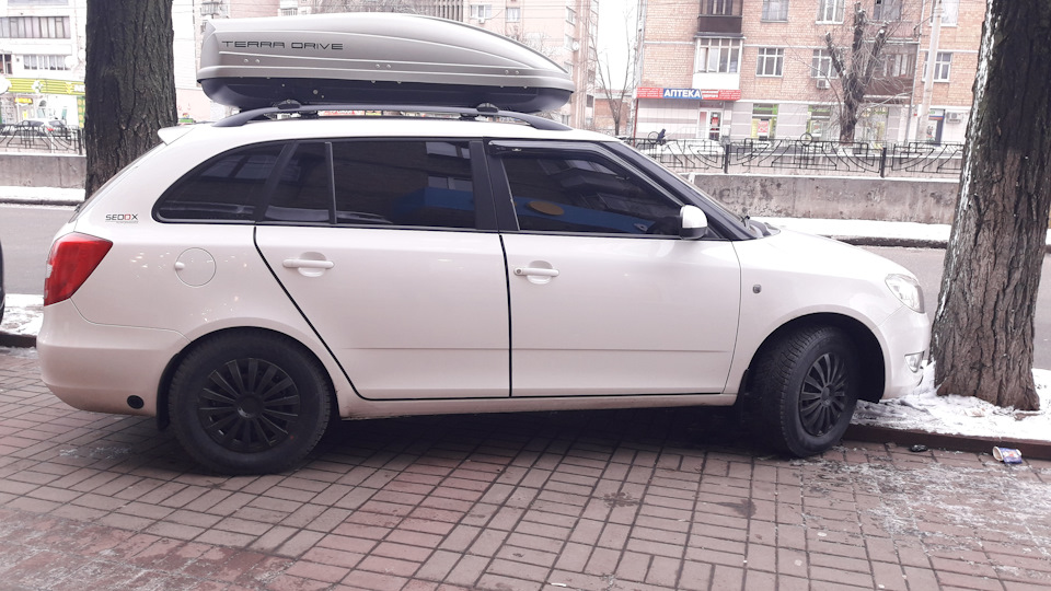 Подаруночок з Alli для Білочки під Новий рік 1