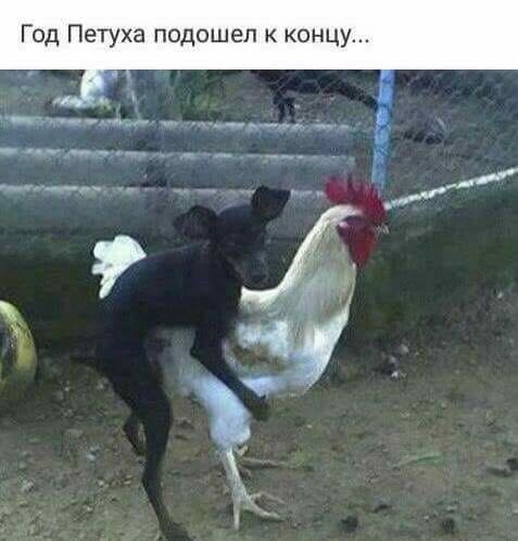 З наступаючим Новим Роком! 2