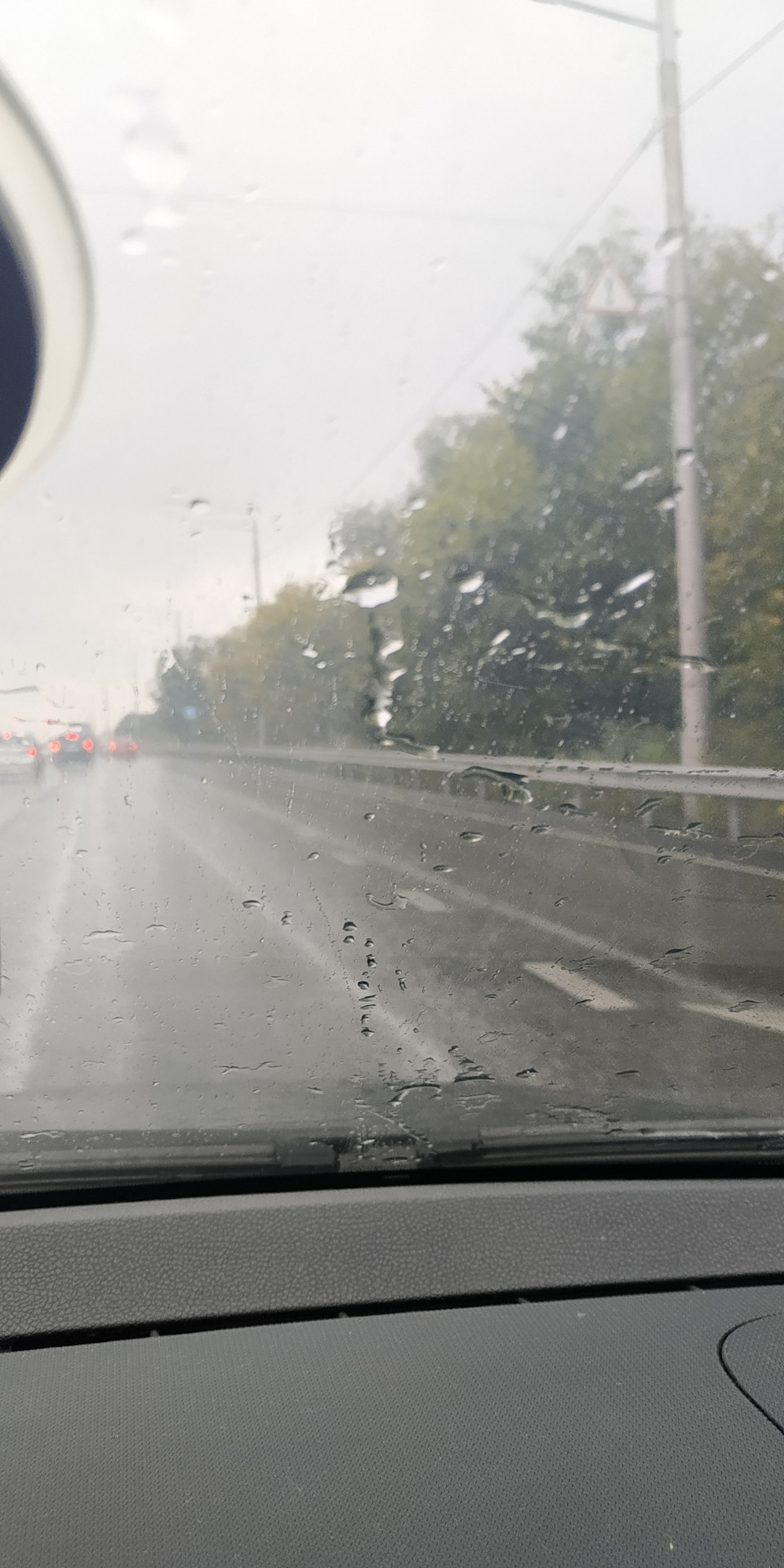 У Радомішель із Білої Церкви через Київ. За брусницею. 4