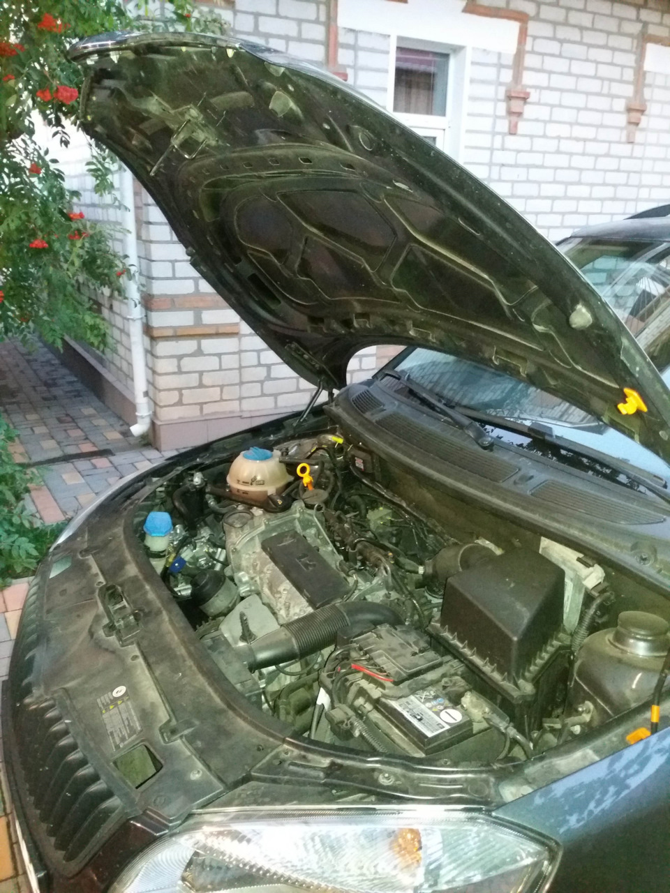 Трохи ніштяків до зими 2