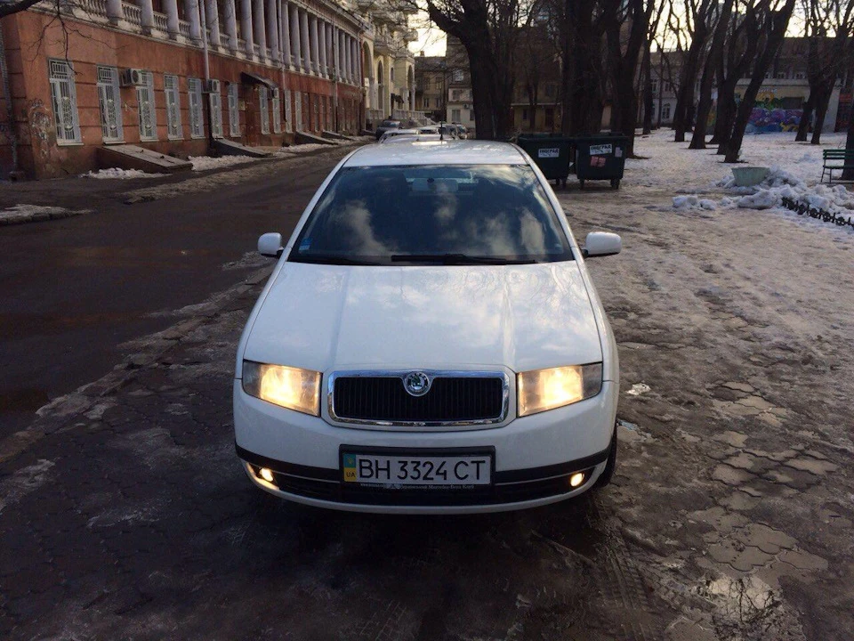 На слід. день після майже піврічного сну