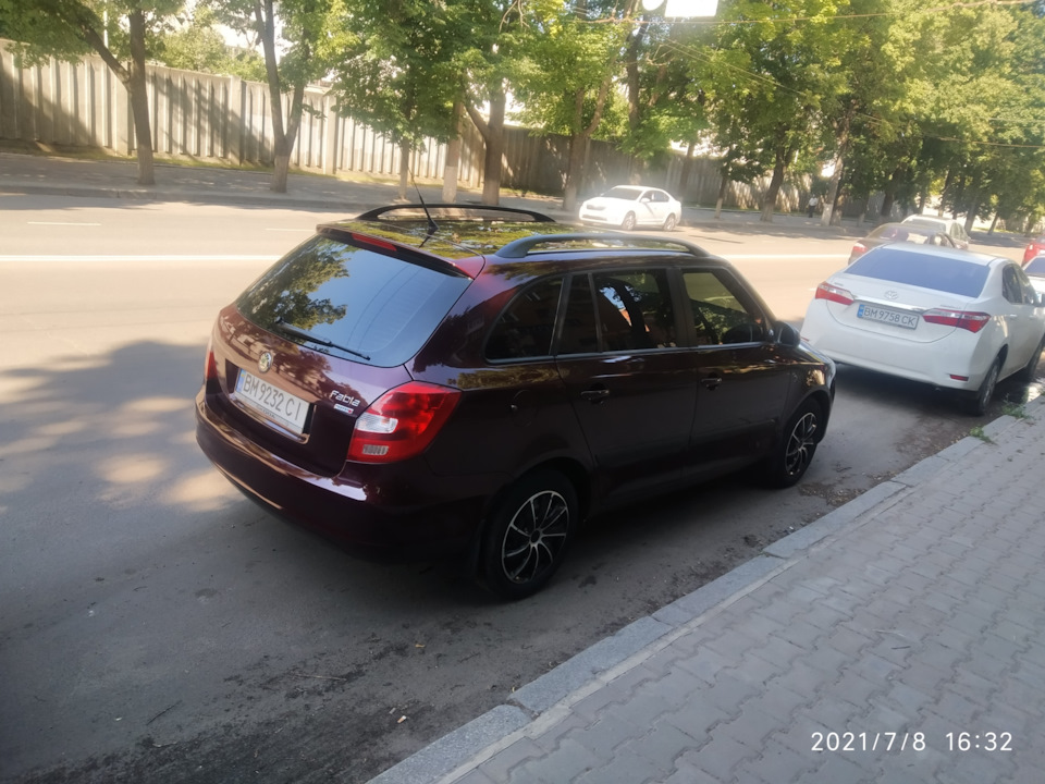 Шкодниця приміряла тонування 4