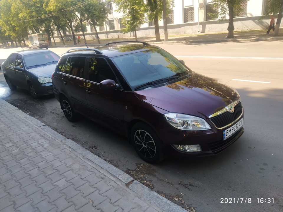 Шкодниця приміряла тонування 5
