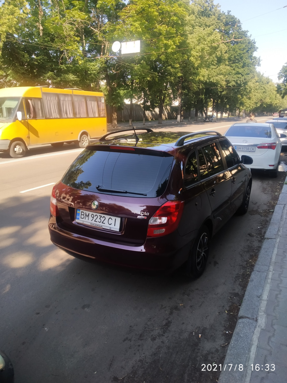 Шкодниця приміряла тонування 1