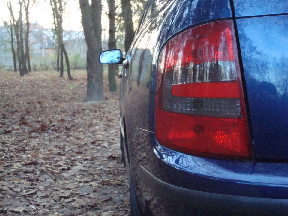 Кілька осінніх фото… 4