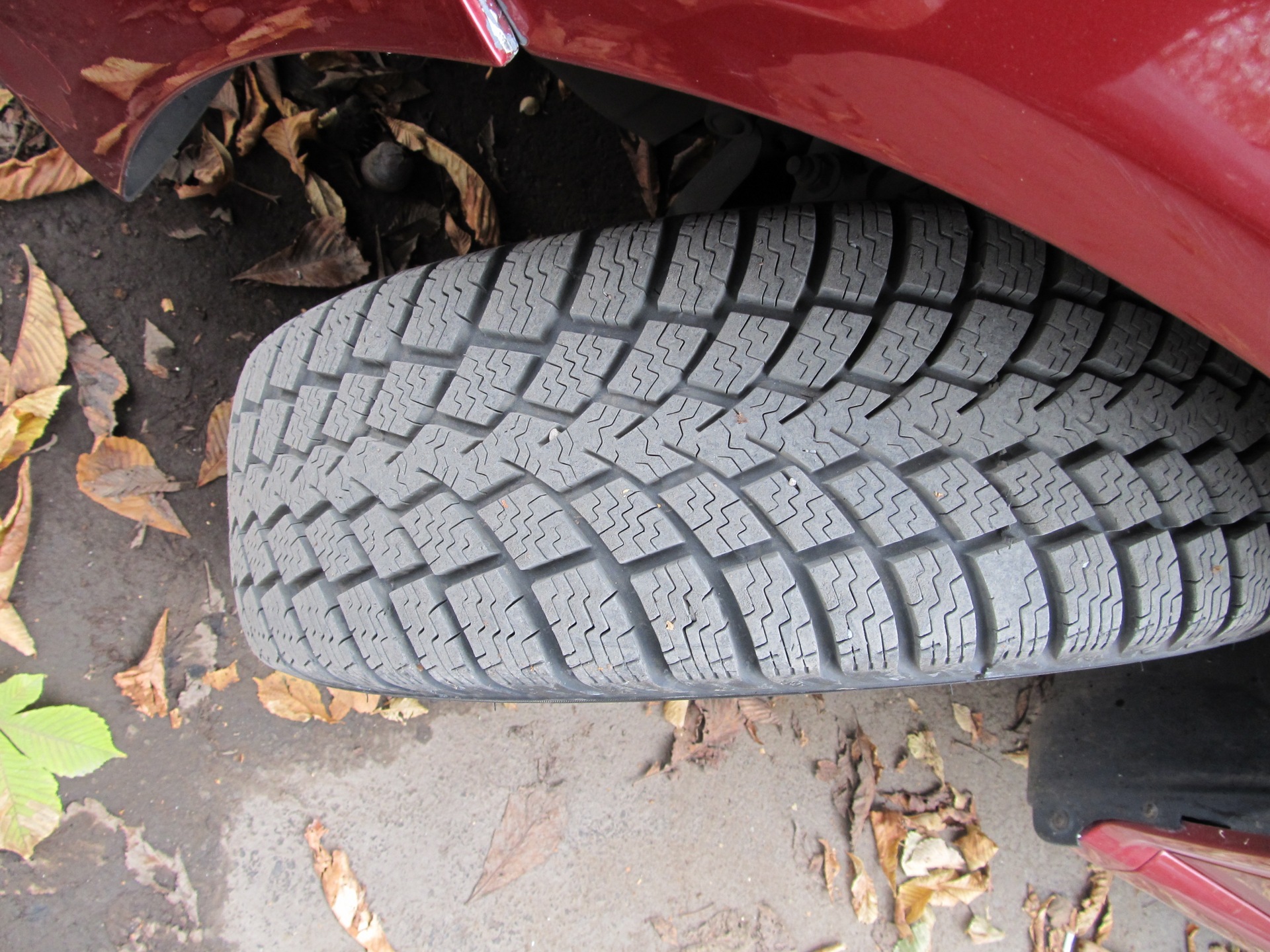 перевзувся на зиму 5