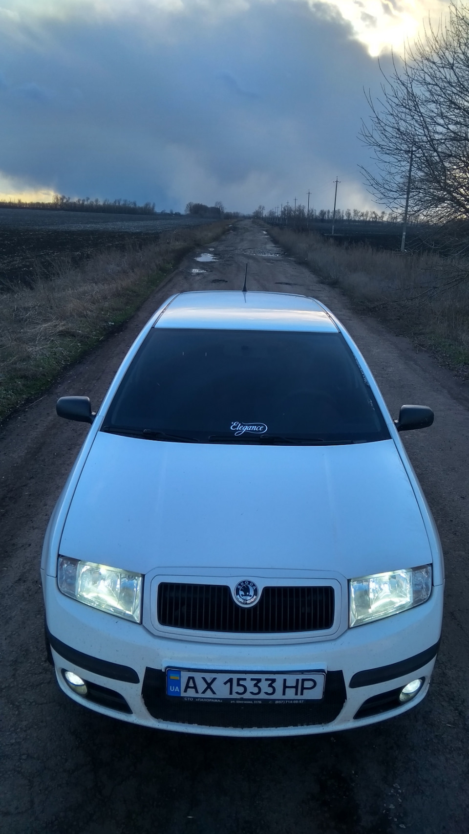 Лоб 35% 1