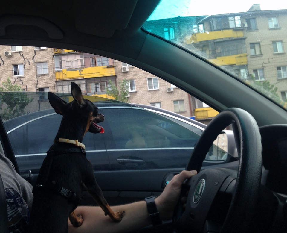 Причина люфту супорту та випадання ШРУСу 5