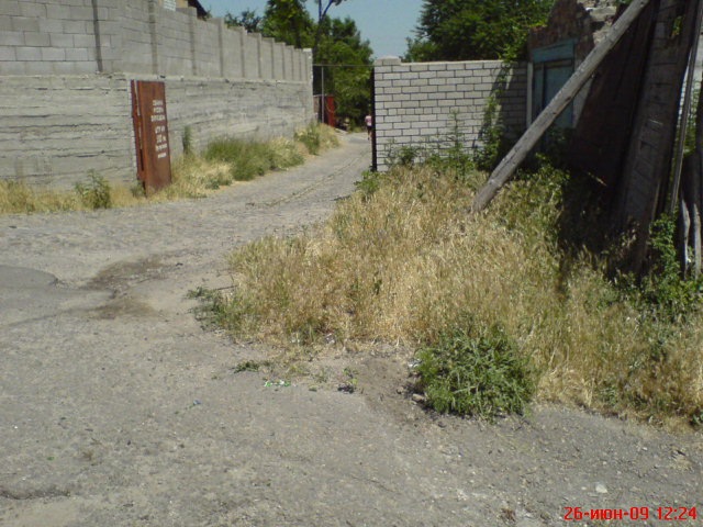 Чи ставити парктронік? 1