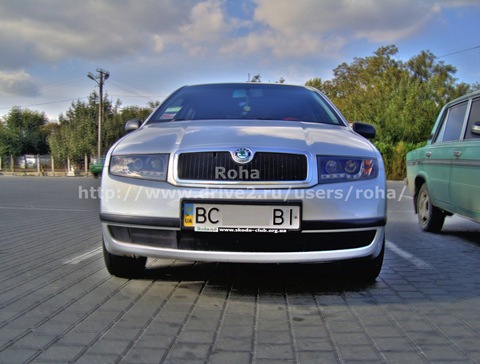 Фотосесія в лісі 5