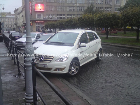 Мерсик у золоті 1