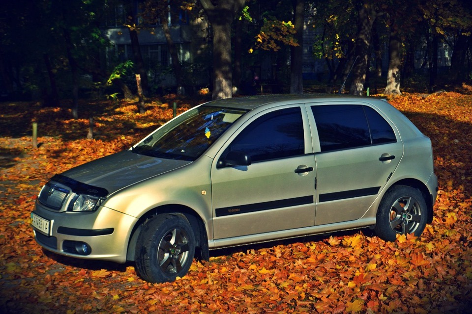 Свіжі фото! 4