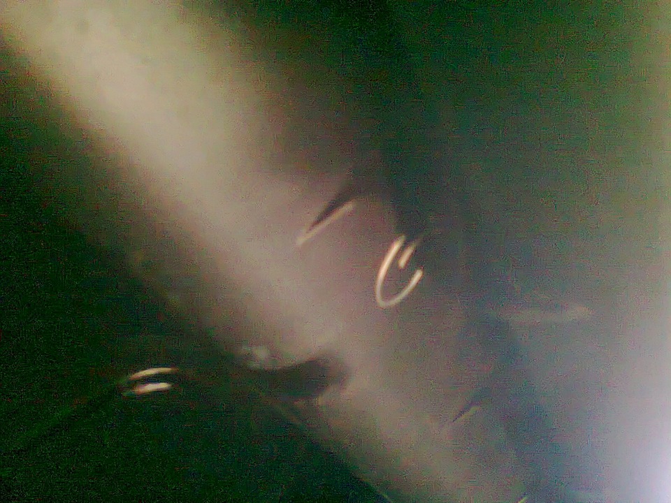 Нема чого робити. 1