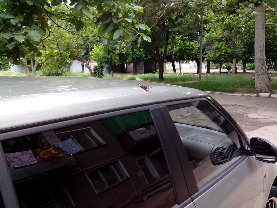 Фото з розряду було - стало 2