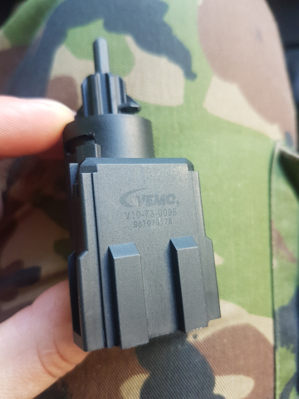 Жаба 1