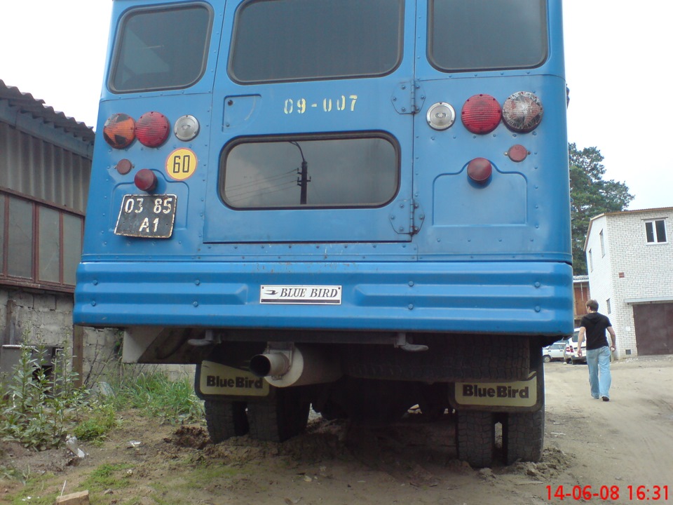 Blue Bird 1