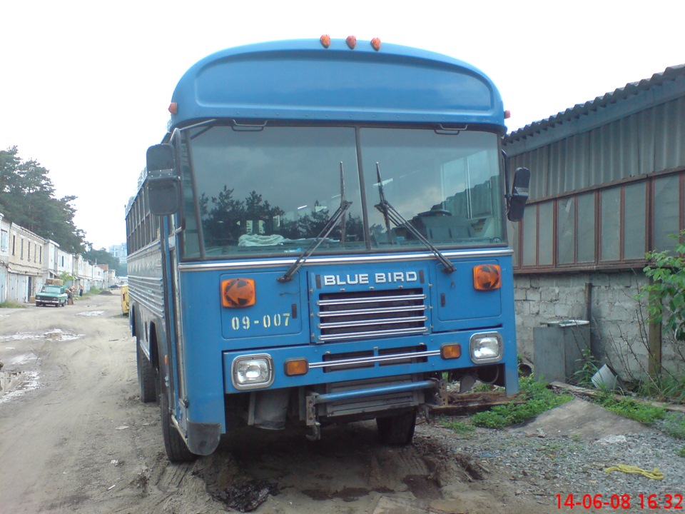 Blue Bird 2