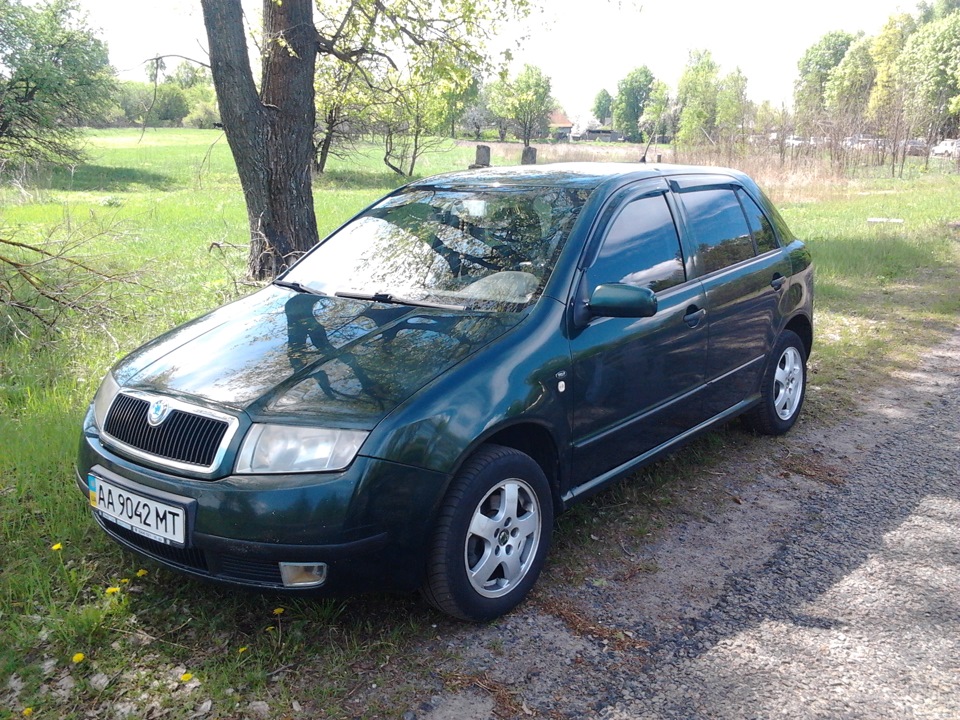 Фото на природі... 1