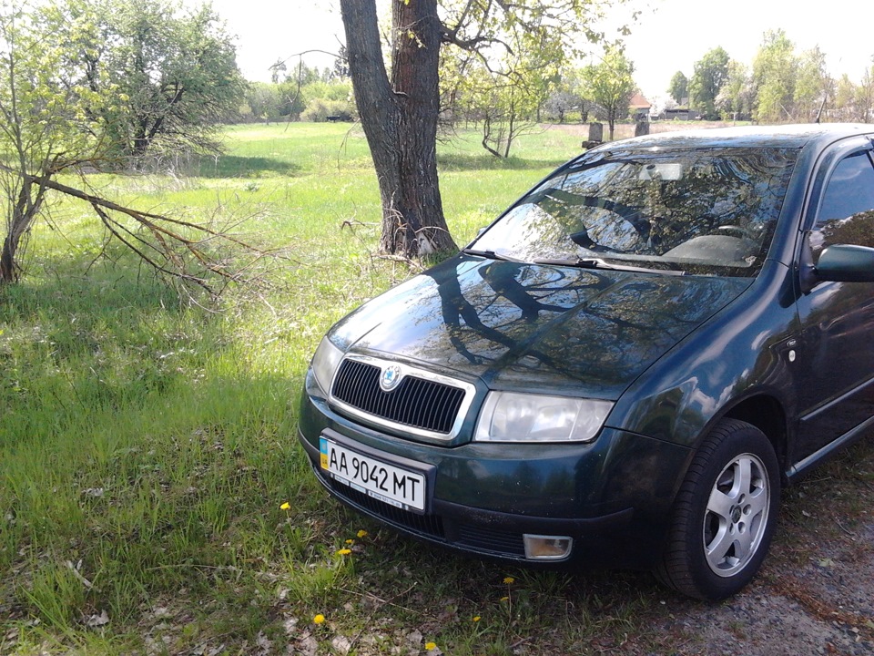 Фото на природі... 5