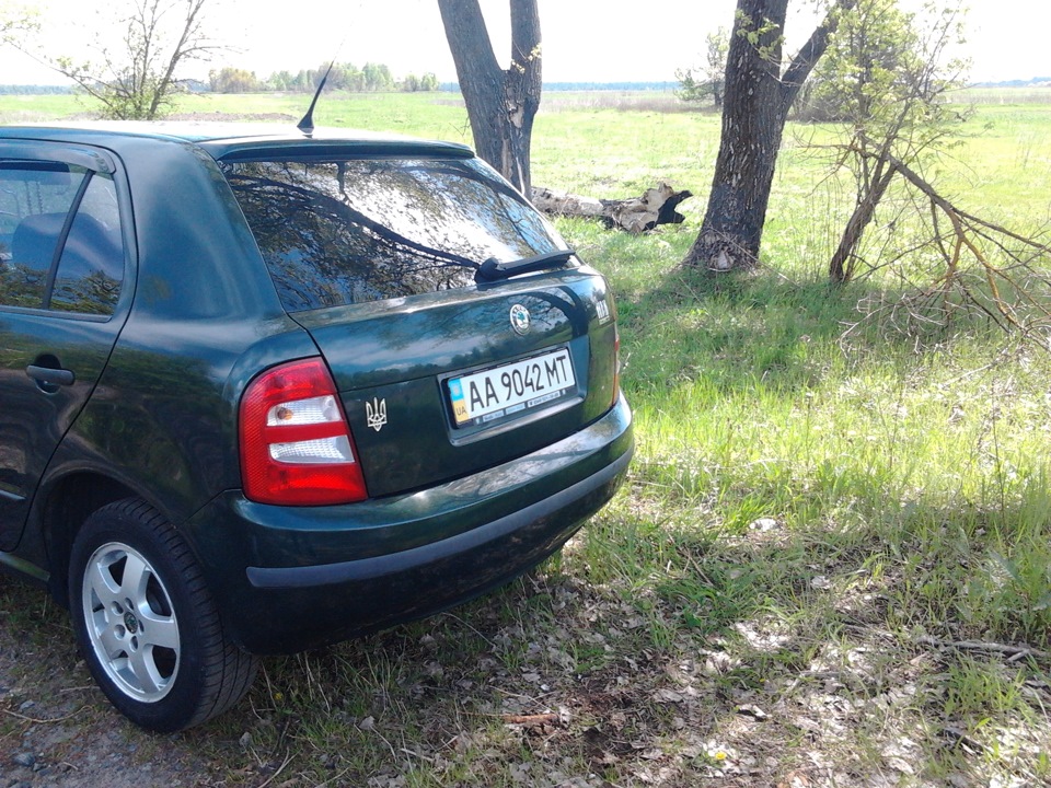 Фото на природі... 3