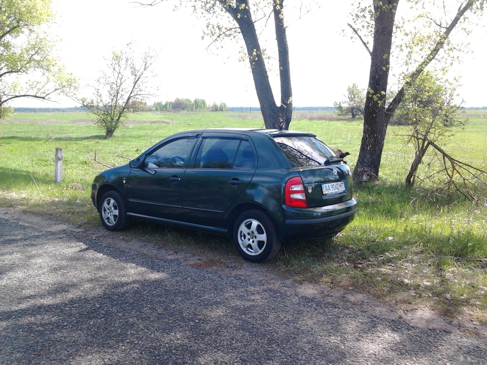Фото на природі... 4