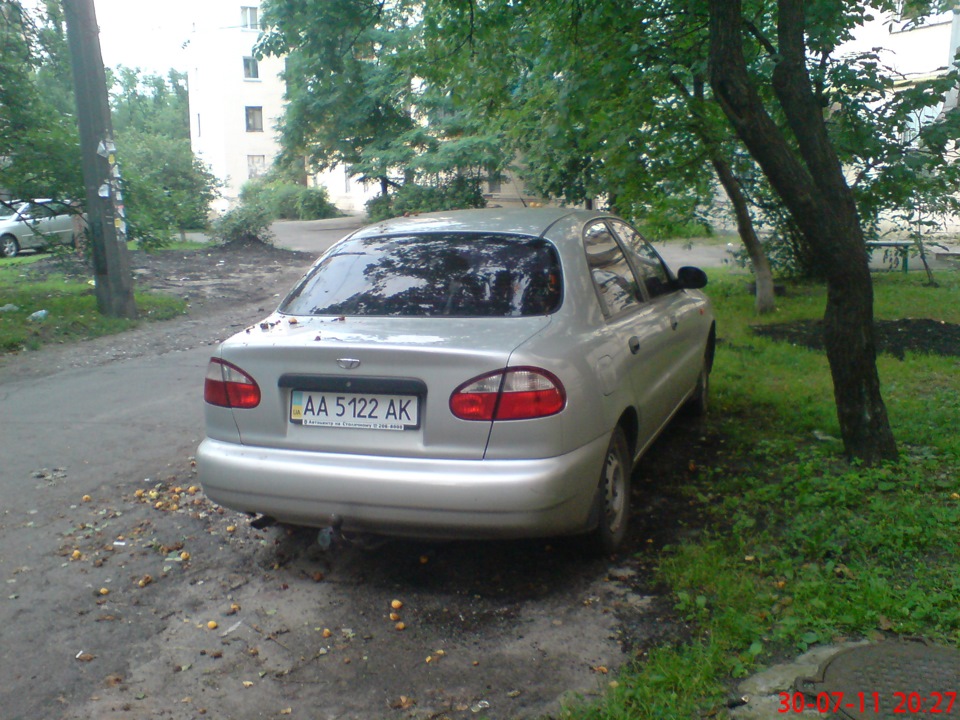 Сусідка не врахувала можливостей АбРіКоС…))) 4