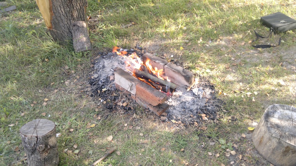 На природе 2