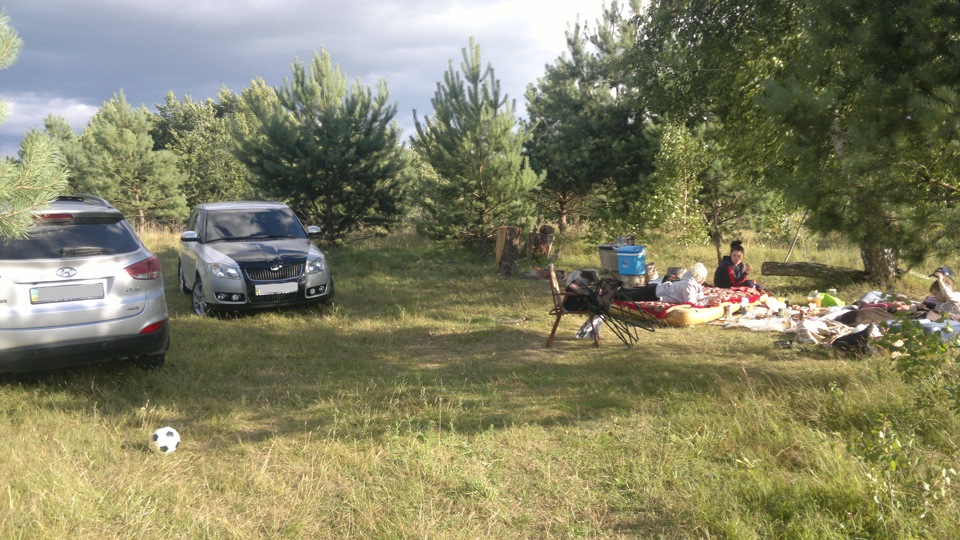 На природе 4