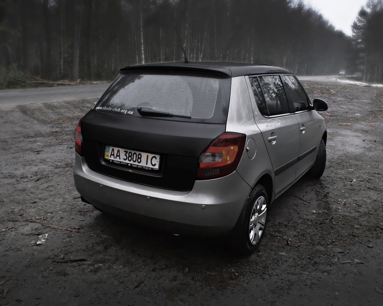 Плани на 2011 рік. 1